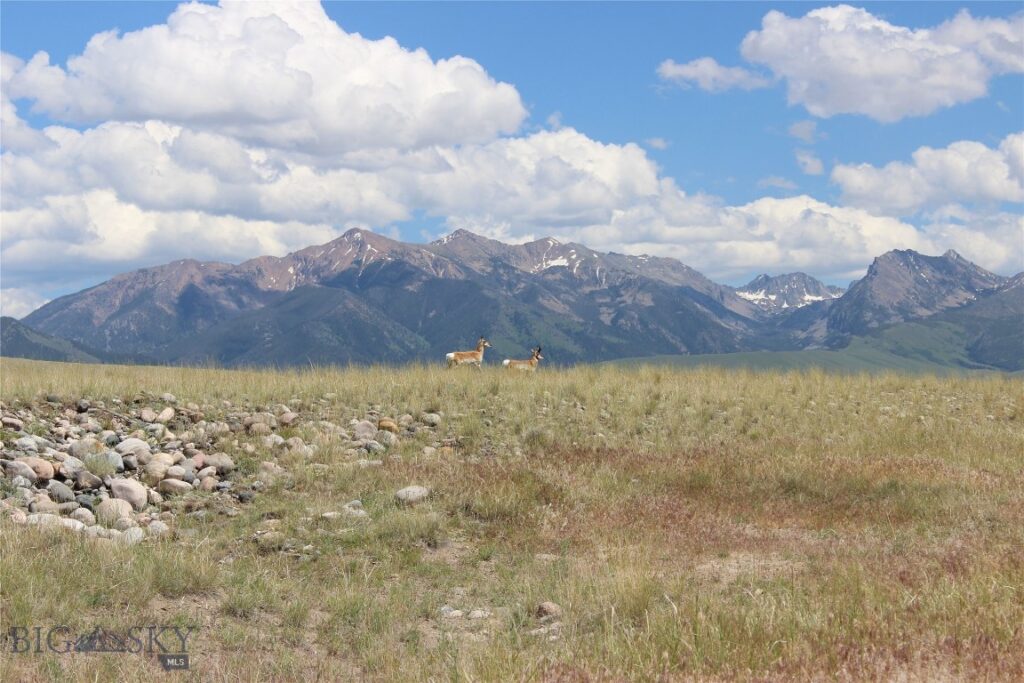 Lot 70 Sphinx Mountain Sub., Cameron MT 59720