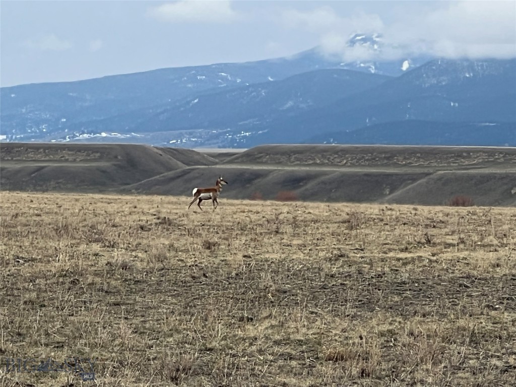 Lot 70 Sphinx Mountain Sub., Cameron MT 59720
