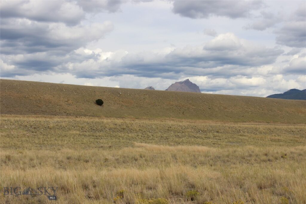 Lot 70 Sphinx Mountain Sub., Cameron MT 59720