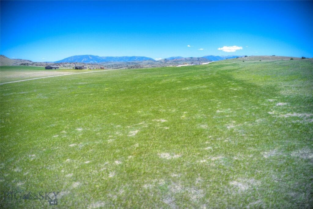 Lot 170 TBD Hilltop, Manhattan MT 59741