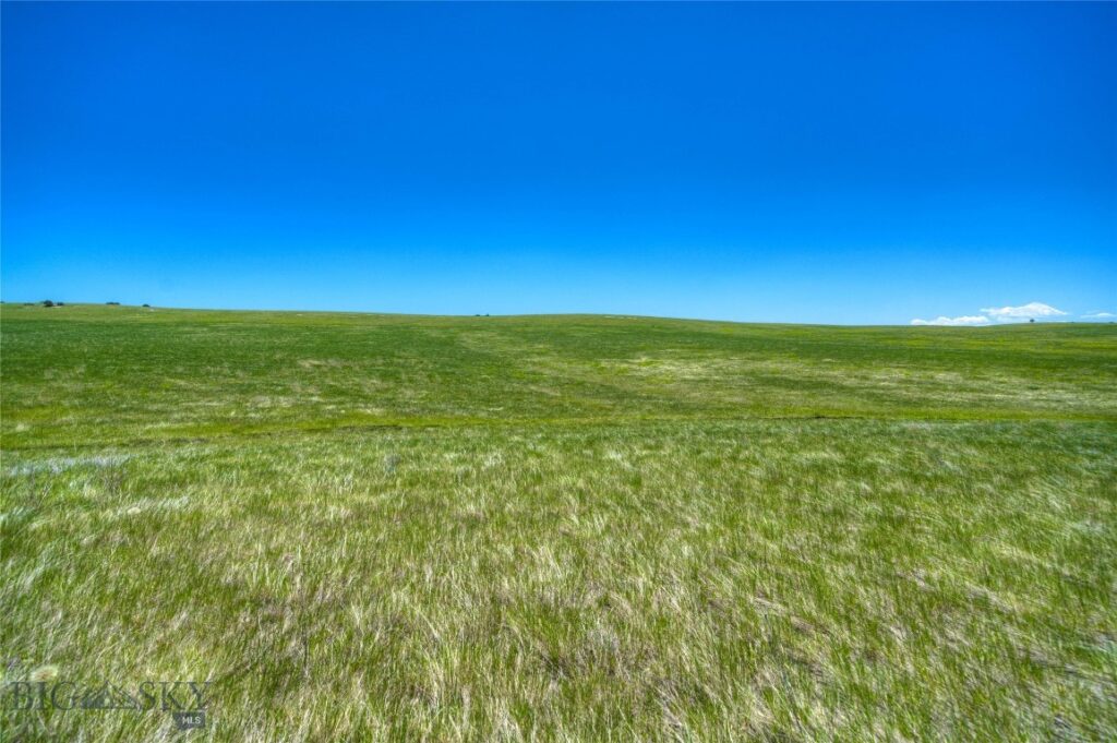 Lot 170 TBD Hilltop, Manhattan MT 59741