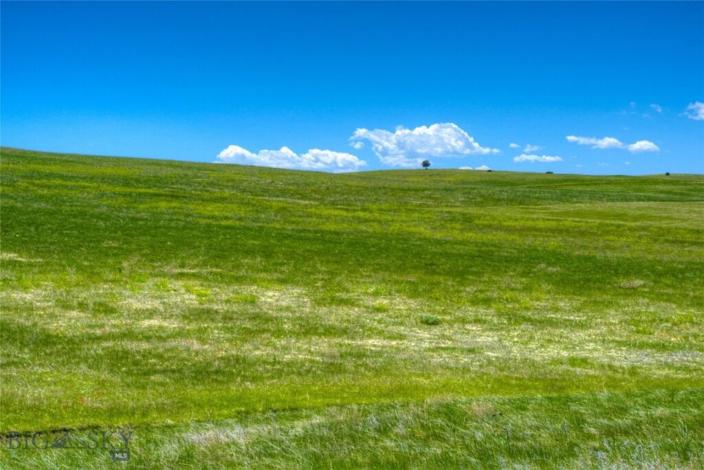 Lot 170 TBD Hilltop, Manhattan MT 59741
