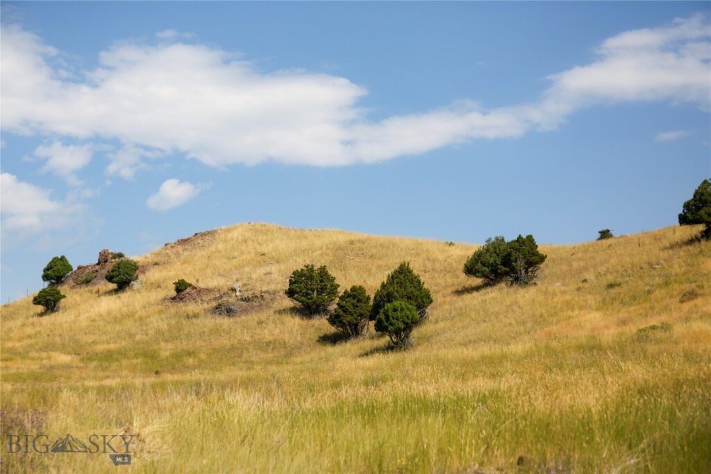 7 Aquila Lane, Emigrant MT 59027