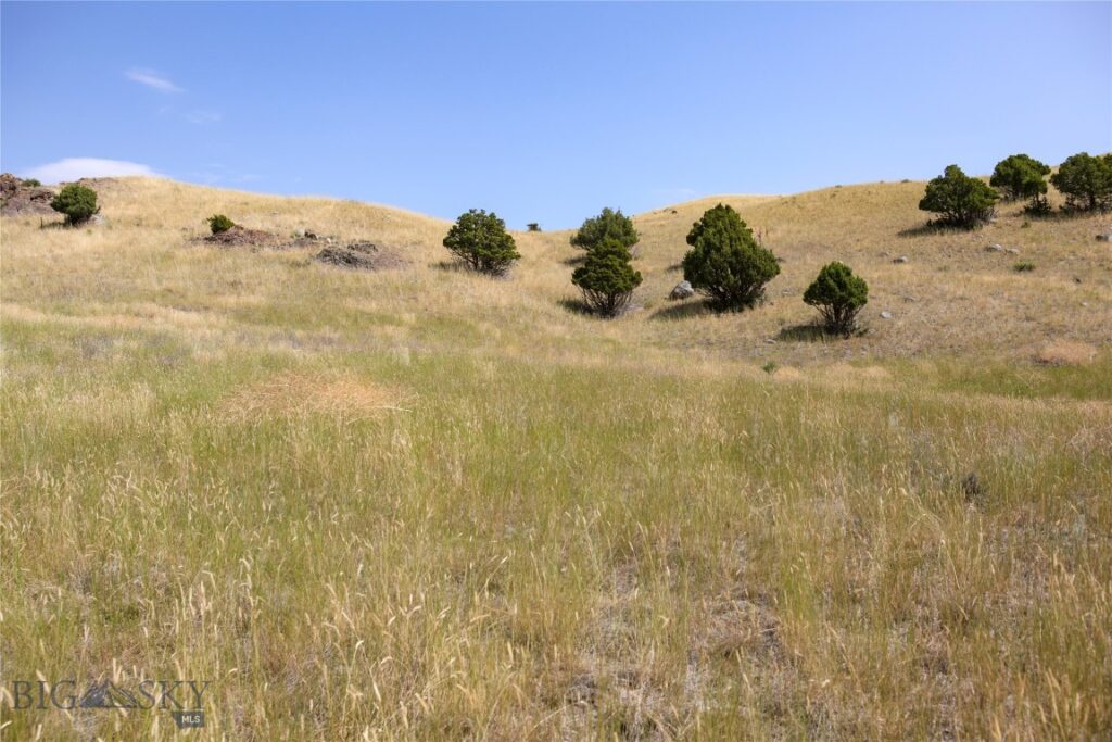 7 Aquila Lane, Emigrant MT 59027