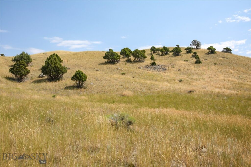 7 Aquila Lane, Emigrant MT 59027
