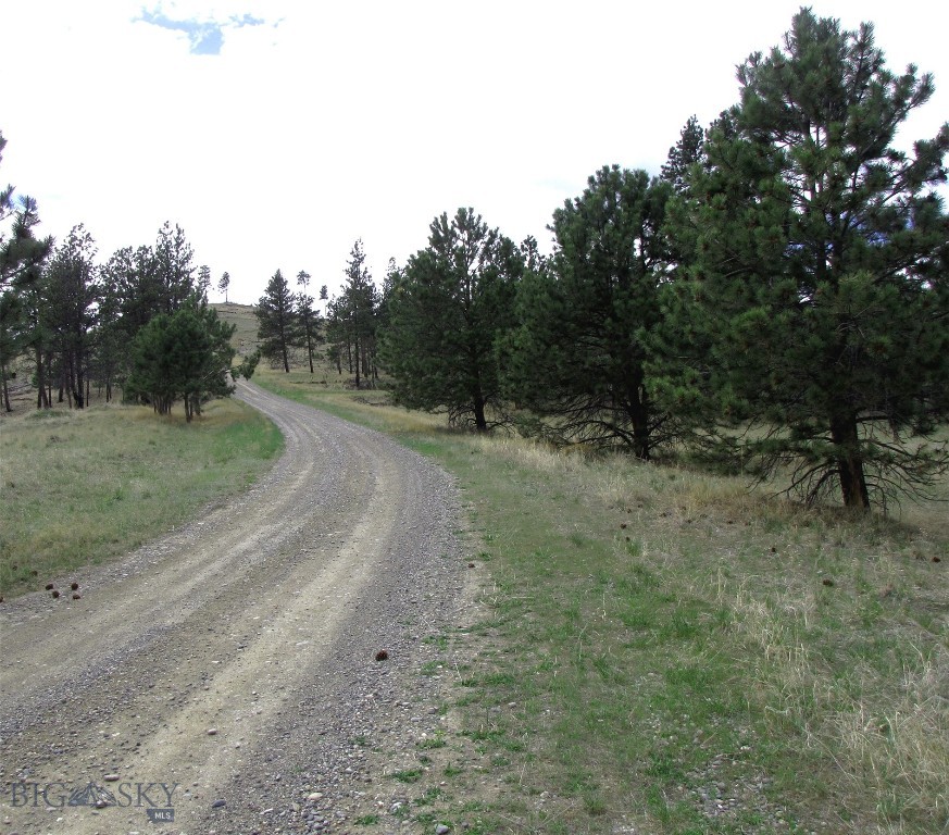 tbd Wild Turkey Ridge Road, Columbus MT 59019