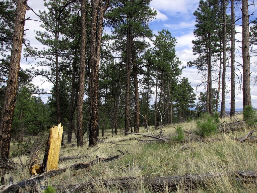 tbd Wild Turkey Ridge Road, Columbus MT 59019