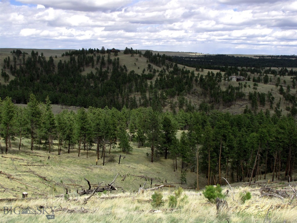 tbd Wild Turkey Ridge Road, Columbus MT 59019