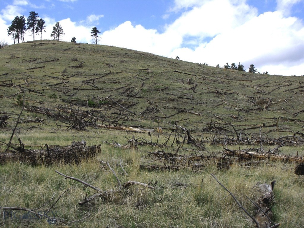 tbd Wild Turkey Ridge Road, Columbus MT 59019