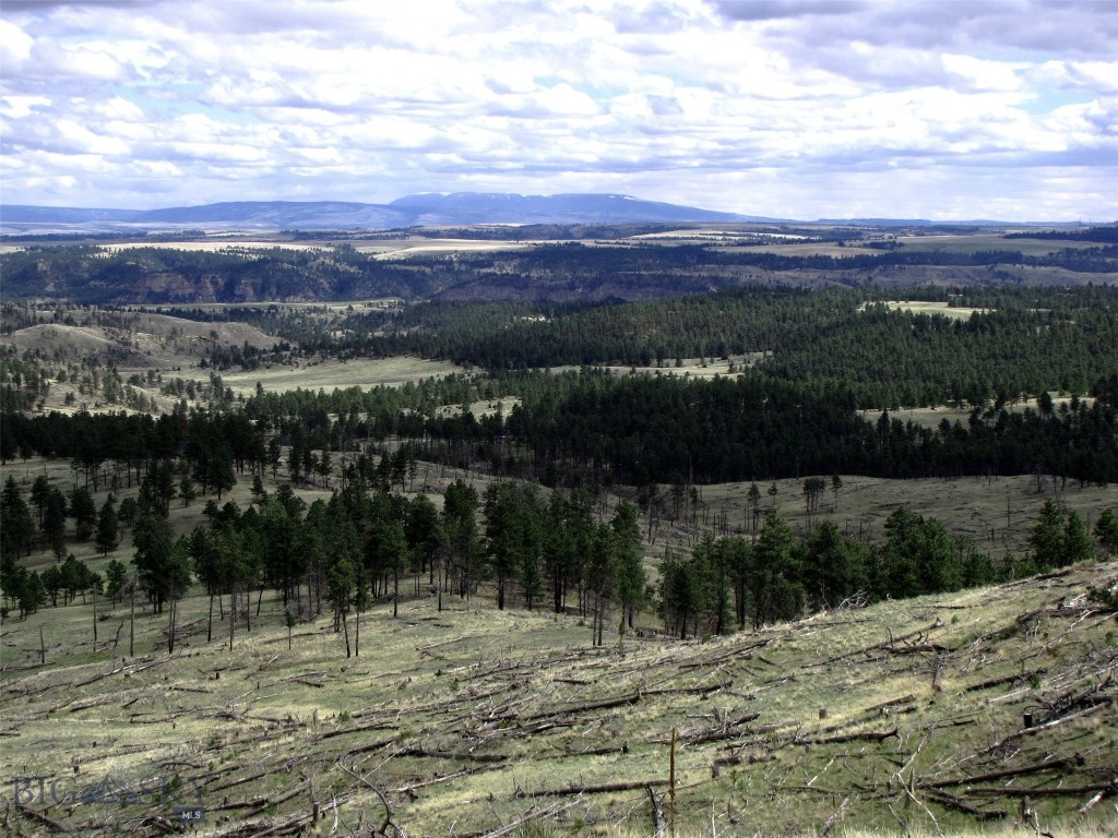 tbd Wild Turkey Ridge Road, Columbus MT 59019