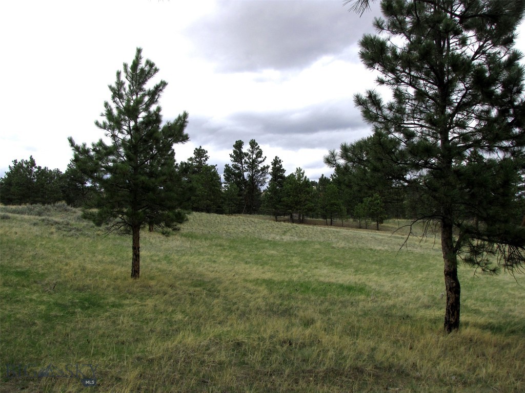 tbd Wild Turkey Ridge Road, Columbus MT 59019