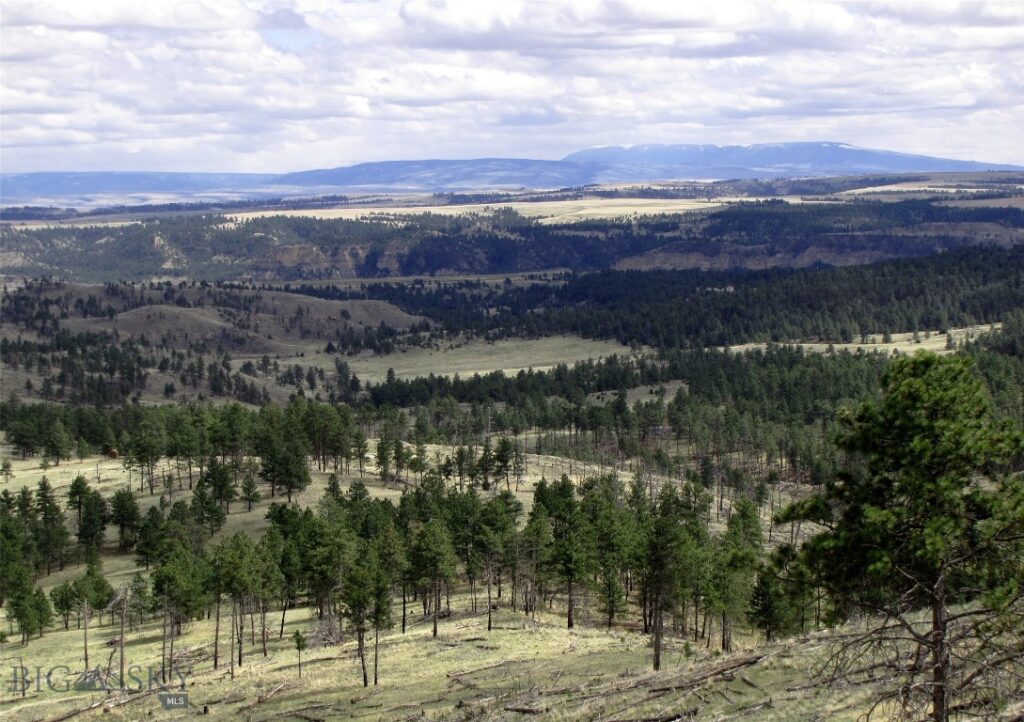 tbd Wild Turkey Ridge Road, Columbus MT 59019