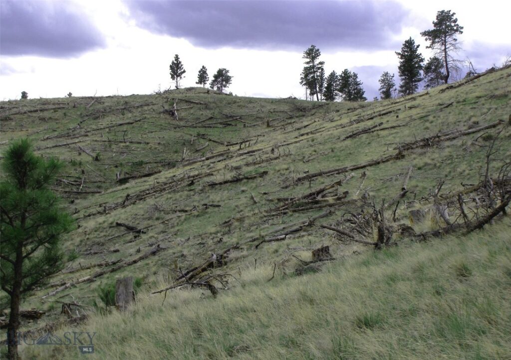 tbd Wild Turkey Ridge Road, Columbus MT 59019