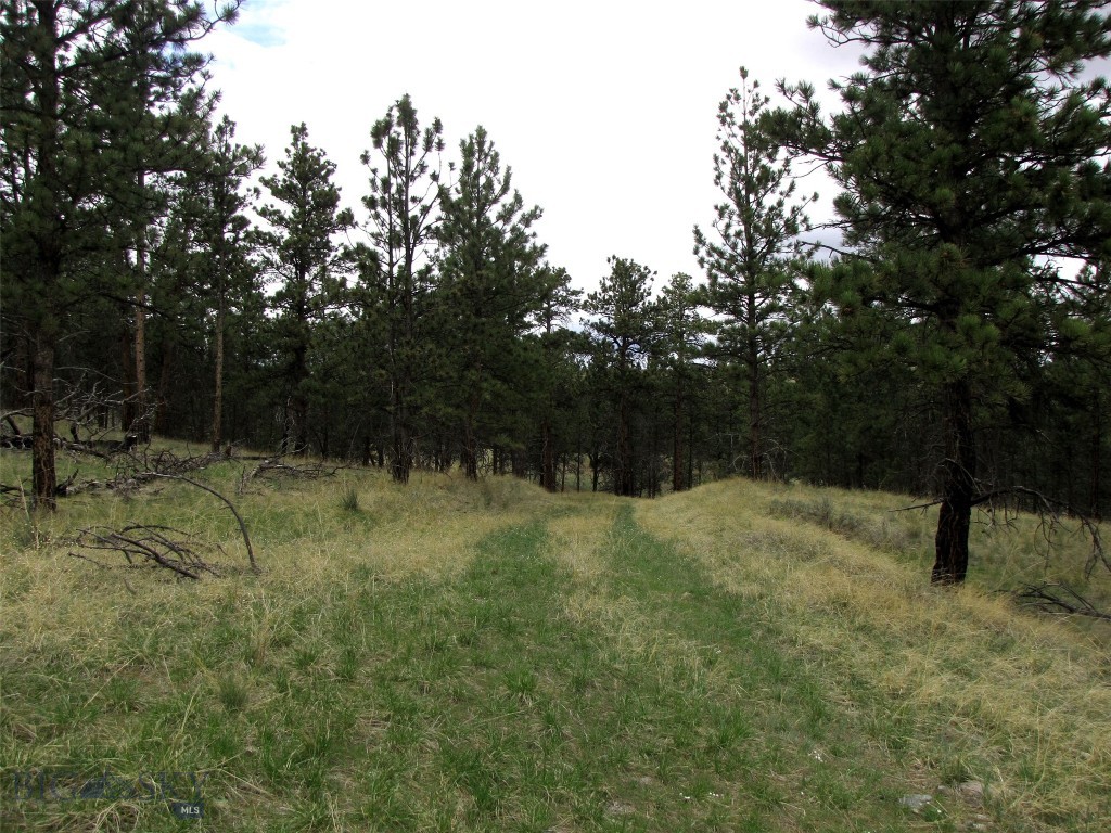 tbd Wild Turkey Ridge Road, Columbus MT 59019