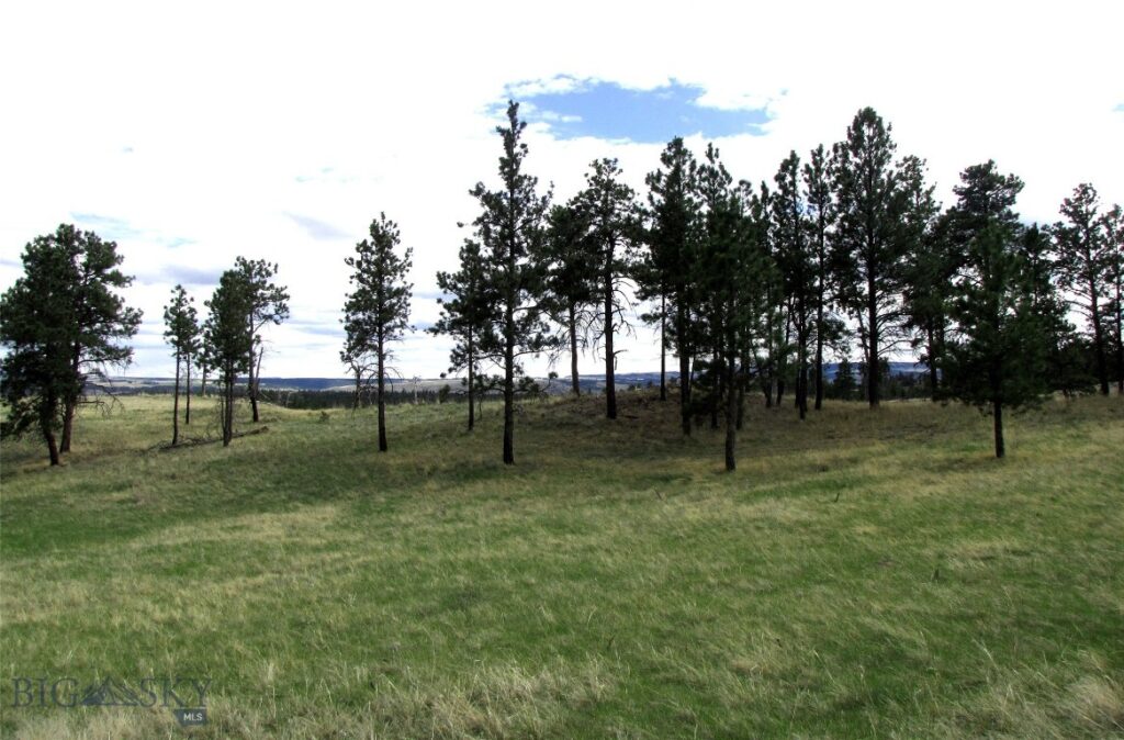 tbd Wild Turkey Ridge Road, Columbus MT 59019