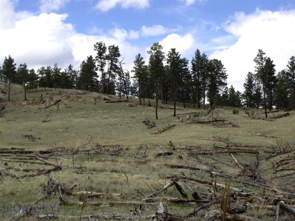 tbd Wild Turkey Ridge Road, Columbus MT 59019