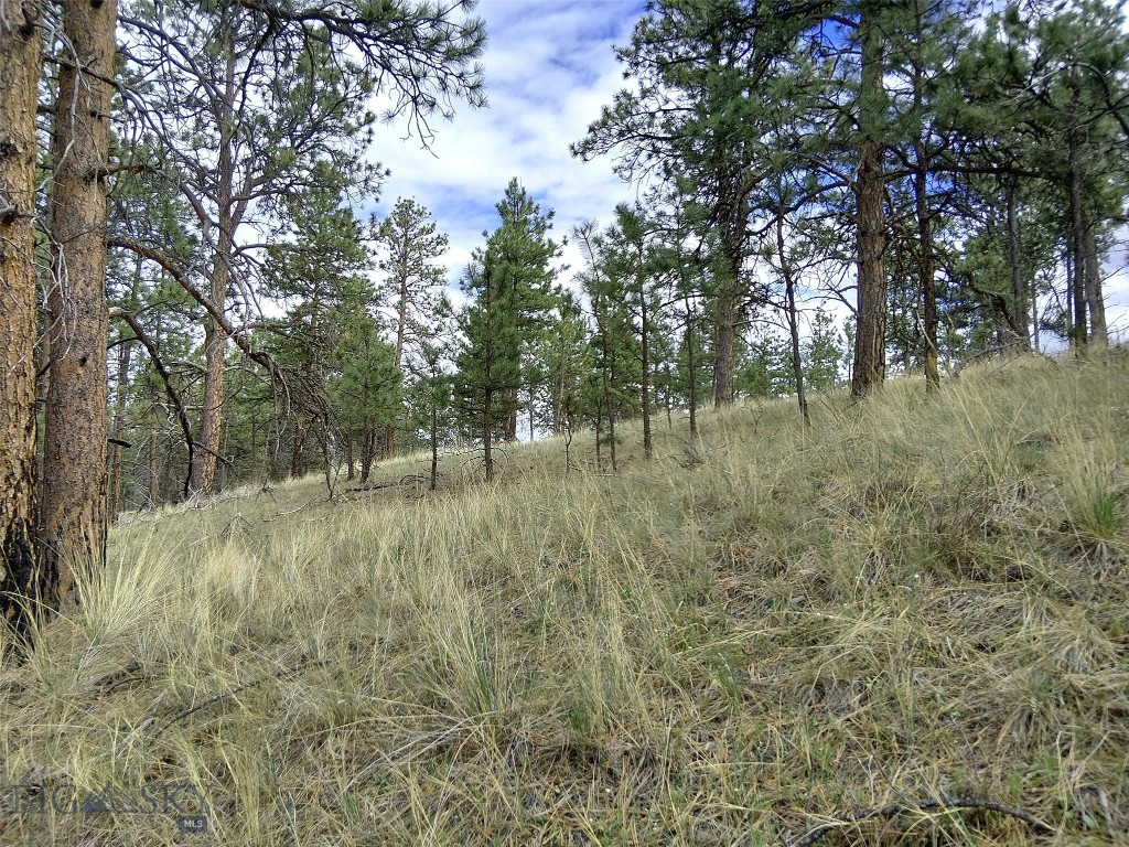 tbd Wild Turkey Ridge Road, Columbus MT 59019