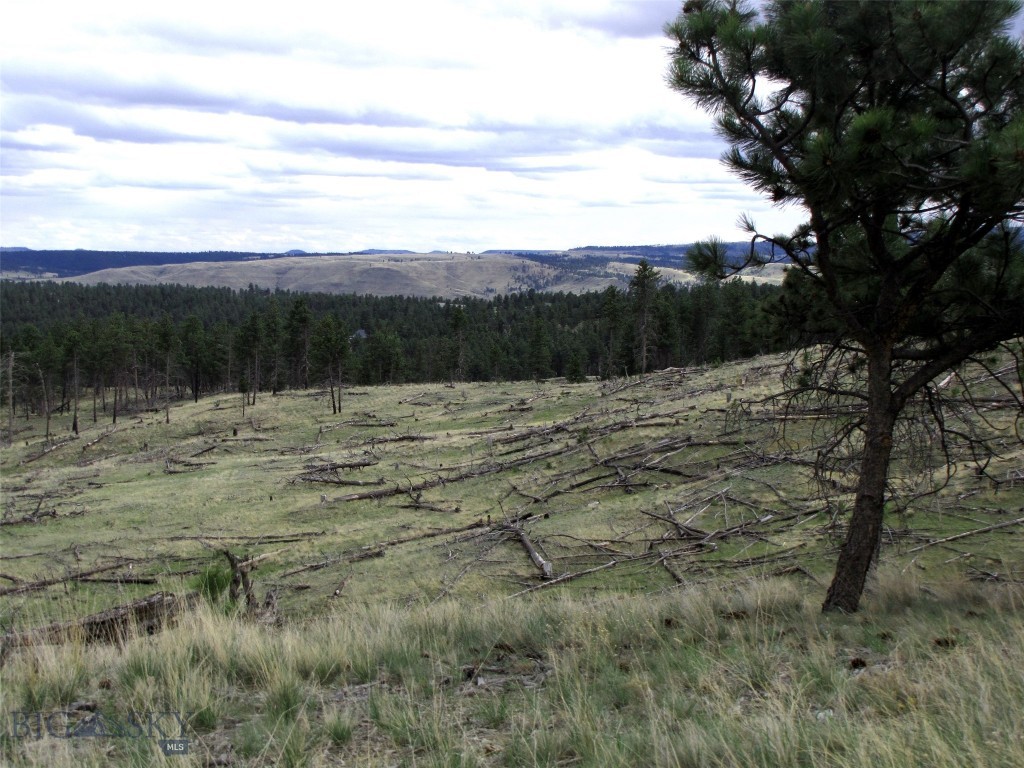 tbd Wild Turkey Ridge Road, Columbus MT 59019