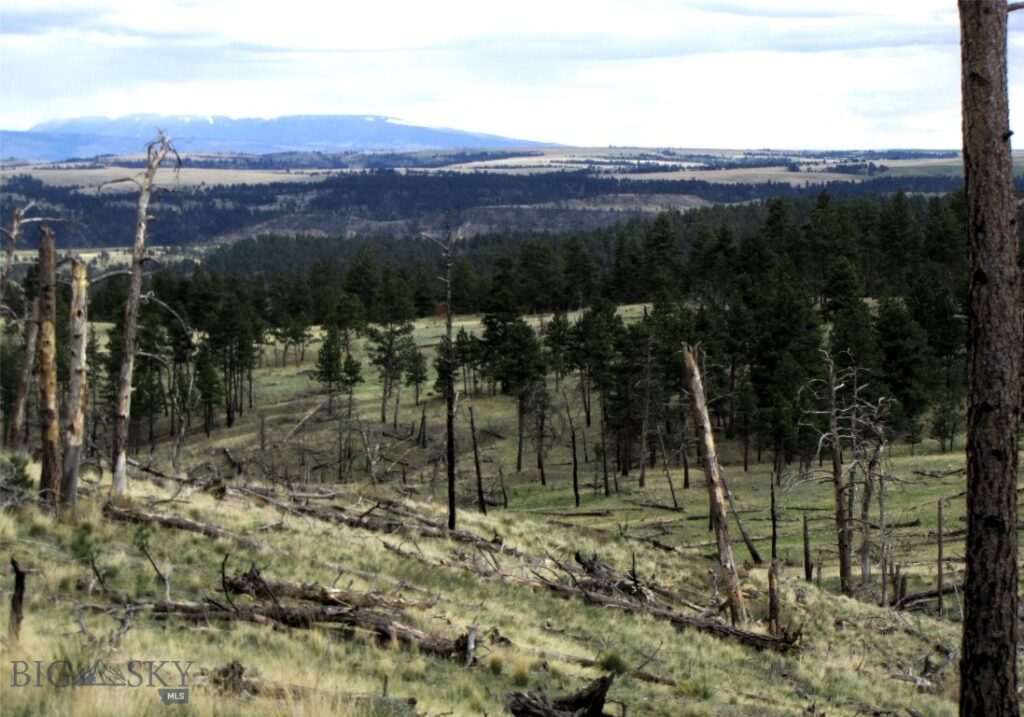 tbd Wild Turkey Ridge Road, Columbus MT 59019