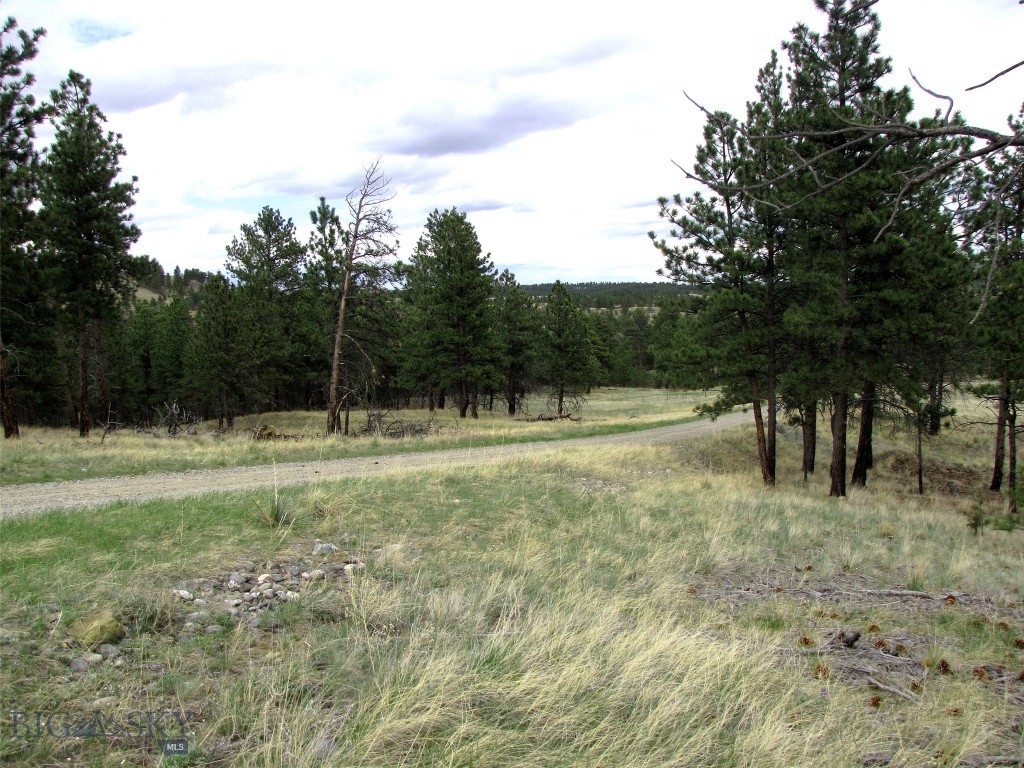 tbd Wild Turkey Ridge Road, Columbus MT 59019
