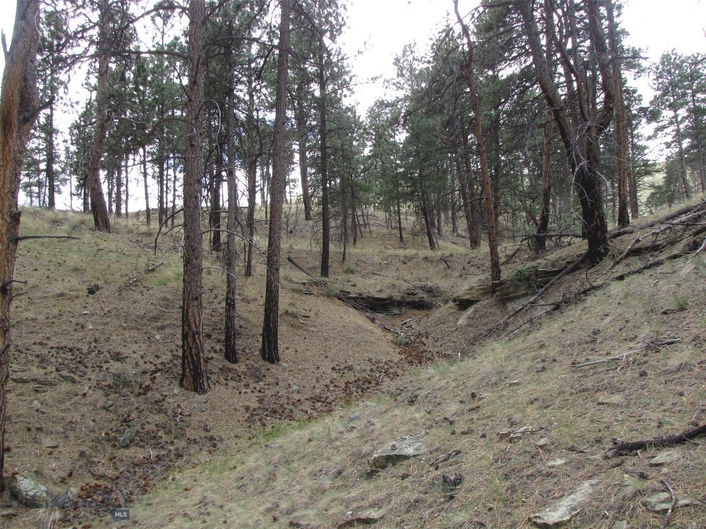 tbd Wild Turkey Ridge Road, Columbus MT 59019