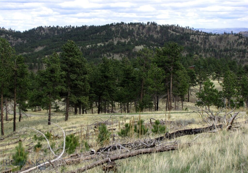 tbd Wild Turkey Ridge Road, Columbus MT 59019