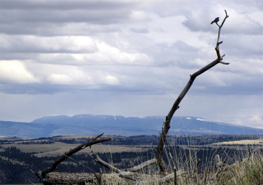 tbd Wild Turkey Ridge Road, Columbus MT 59019