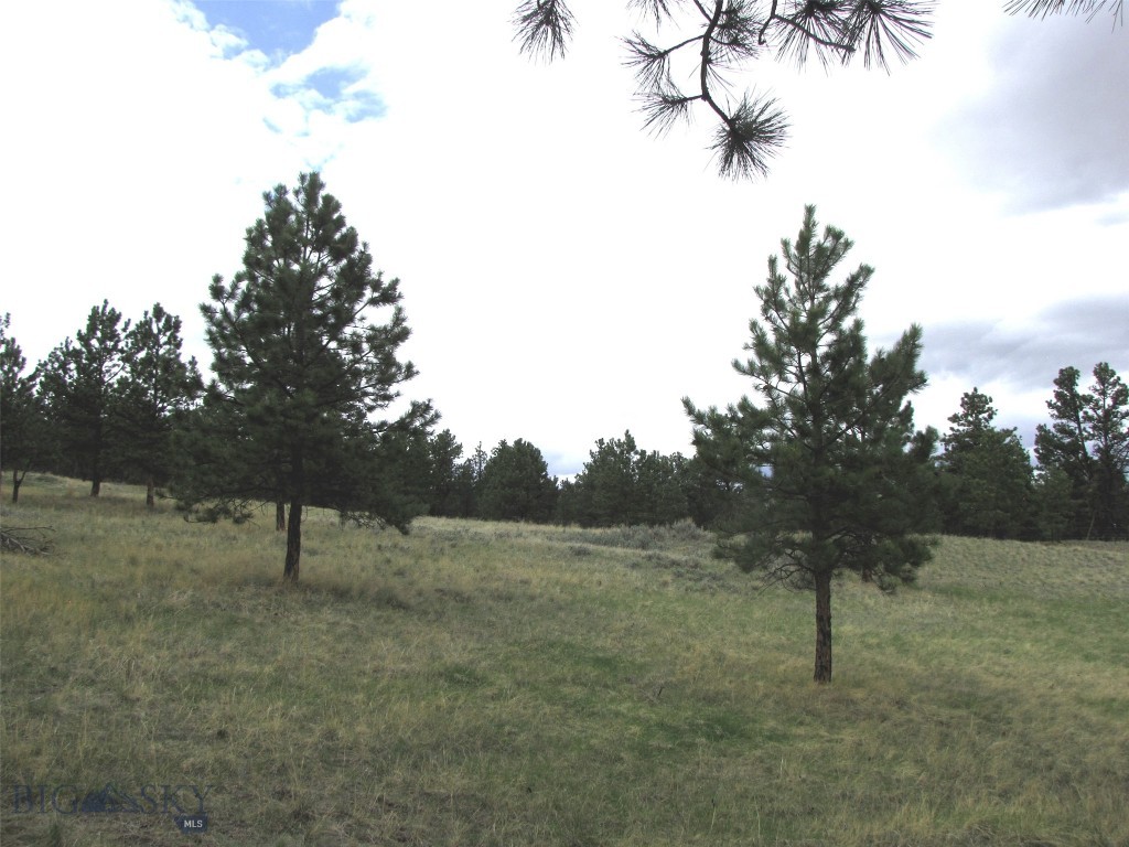 tbd Wild Turkey Ridge Road, Columbus MT 59019