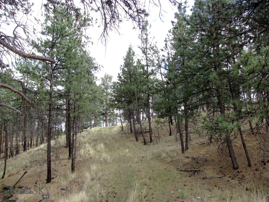 tbd Wild Turkey Ridge Road, Columbus MT 59019