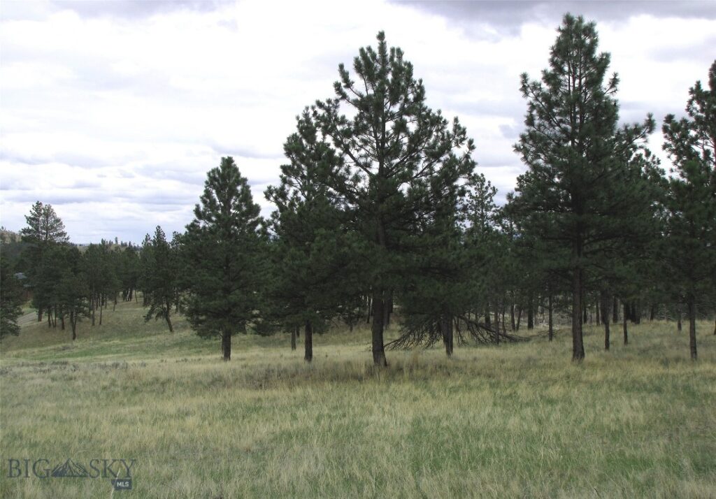 tbd Wild Turkey Ridge Road, Columbus MT 59019