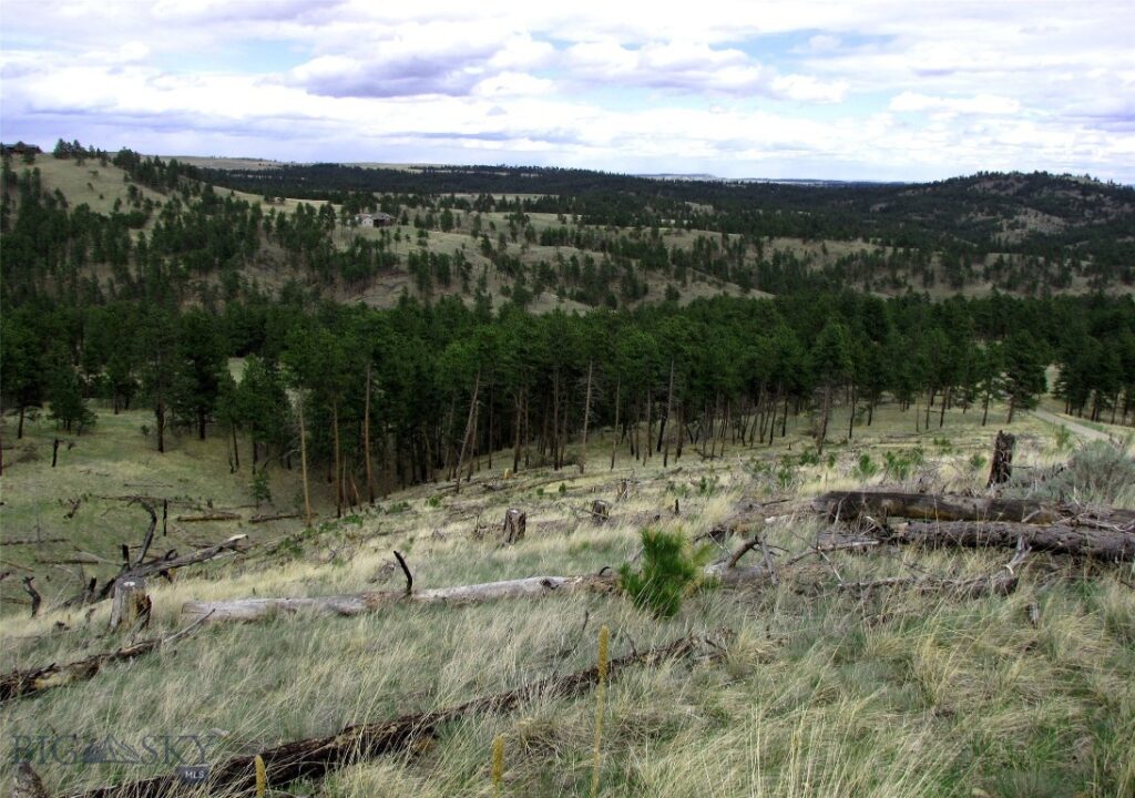 tbd Wild Turkey Ridge Road, Columbus MT 59019