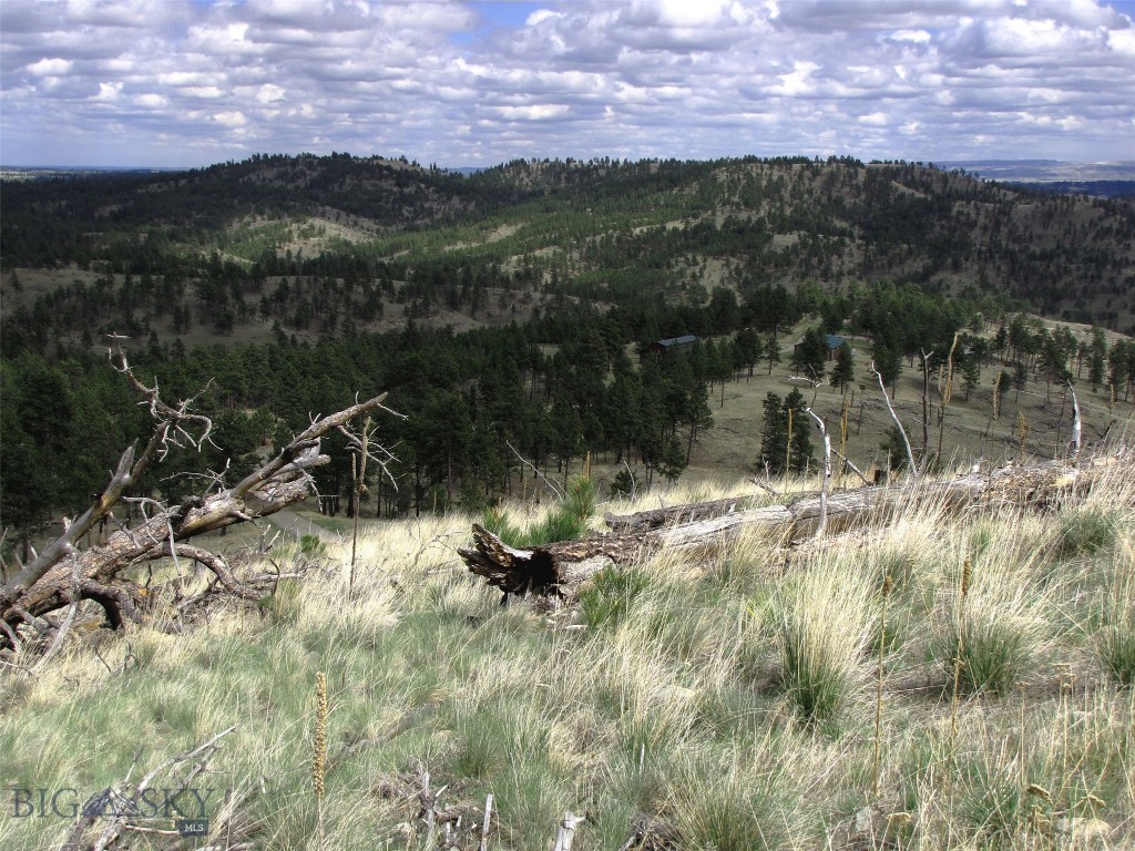 tbd Wild Turkey Ridge Road, Columbus MT 59019