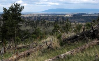 tbd Wild Turkey Ridge Road, Columbus MT 59019