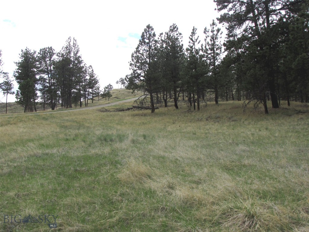 tbd Wild Turkey Ridge Road, Columbus MT 59019