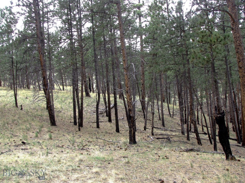 tbd Wild Turkey Ridge Road, Columbus MT 59019