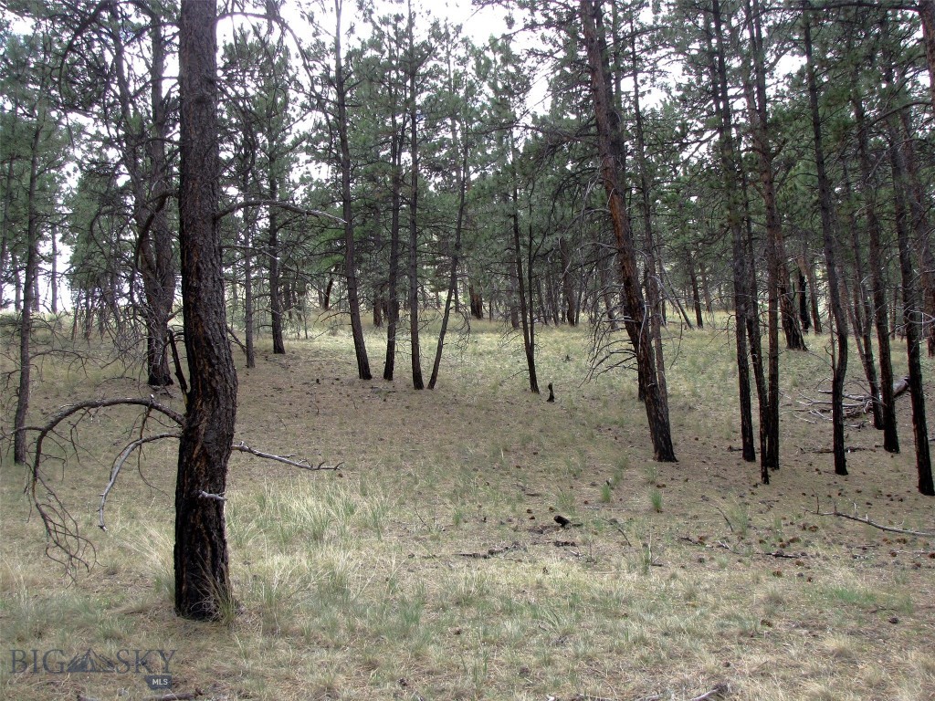 tbd Wild Turkey Ridge Road, Columbus MT 59019