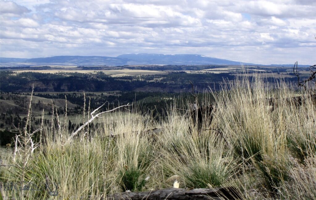 tbd Wild Turkey Ridge Road, Columbus MT 59019