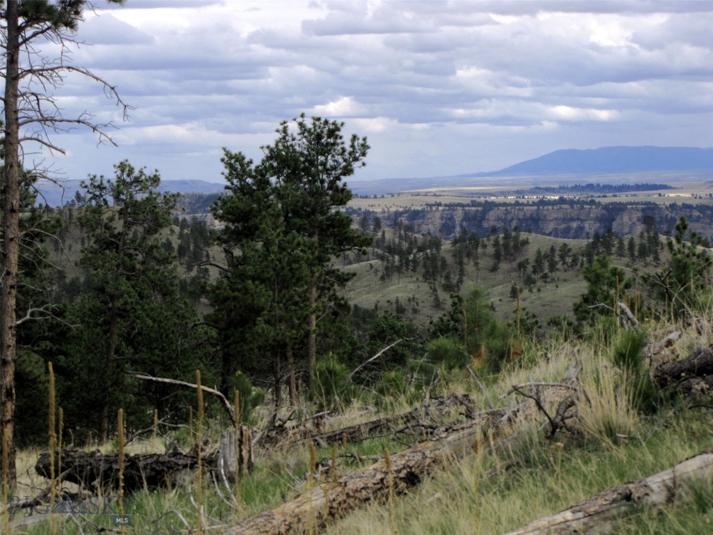 tbd Wild Turkey Ridge Road, Columbus MT 59019