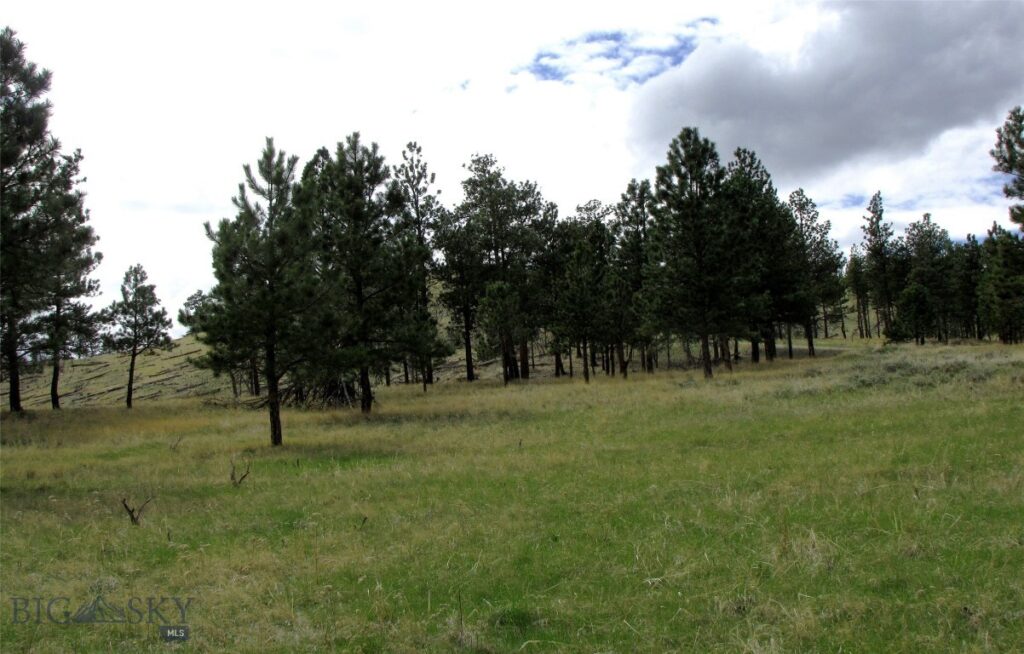 tbd Wild Turkey Ridge Road, Columbus MT 59019