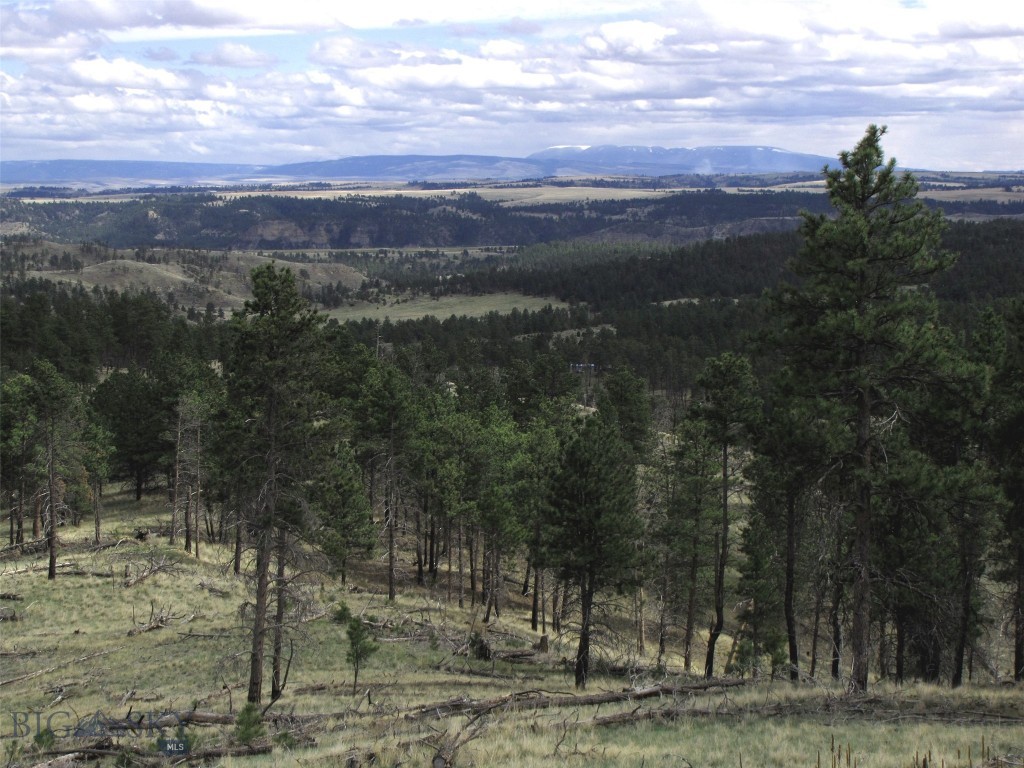 tbd Wild Turkey Ridge Road, Columbus MT 59019