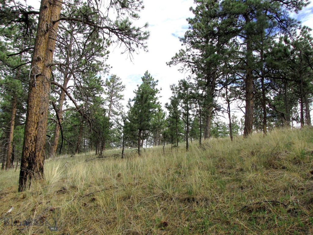 tbd Wild Turkey Ridge Road, Columbus MT 59019