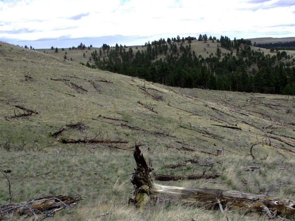 tbd Wild Turkey Ridge Road, Columbus MT 59019