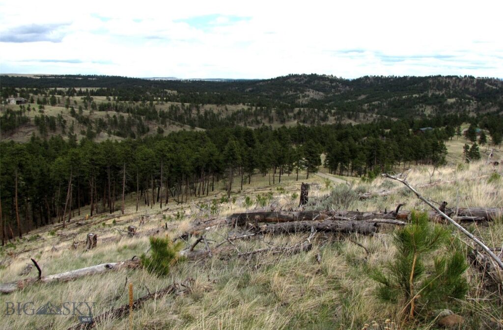 tbd Wild Turkey Ridge Road, Columbus MT 59019