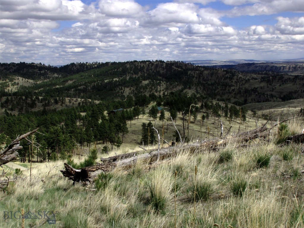 tbd Wild Turkey Ridge Road, Columbus MT 59019