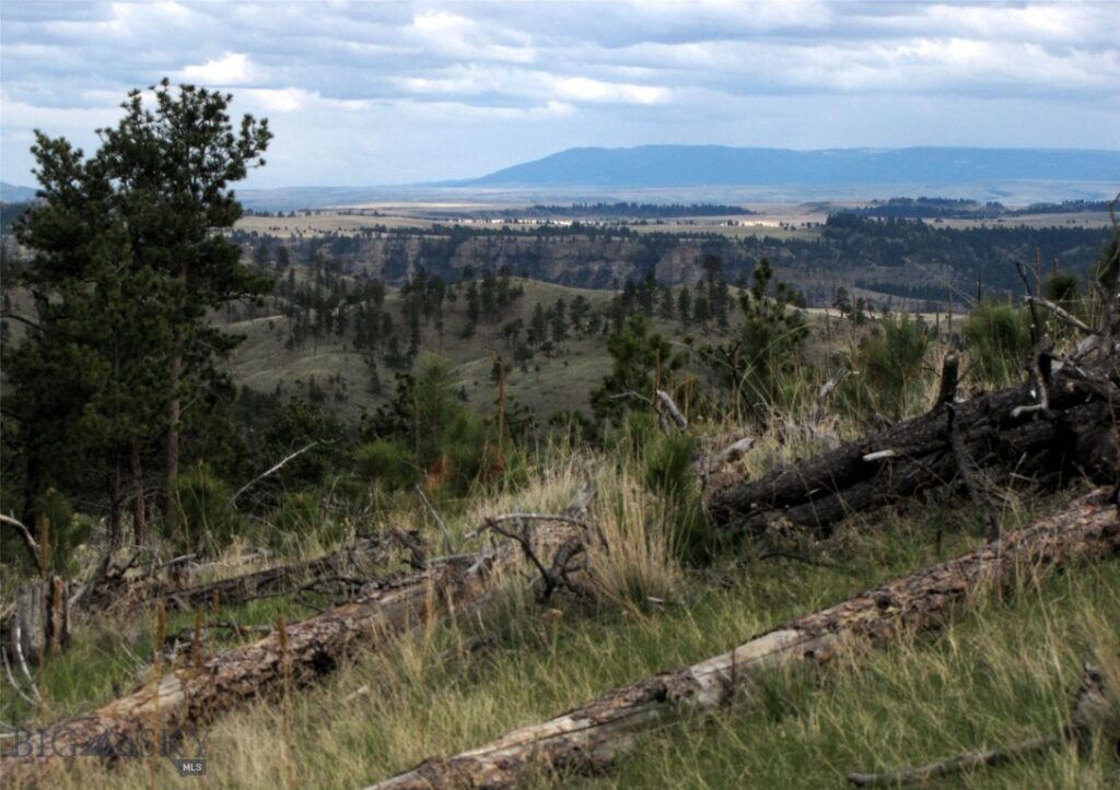 tbd Wild Turkey Ridge Road, Columbus MT 59019