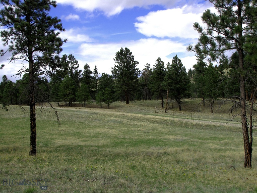 tbd Wild Turkey Ridge Road, Columbus MT 59019