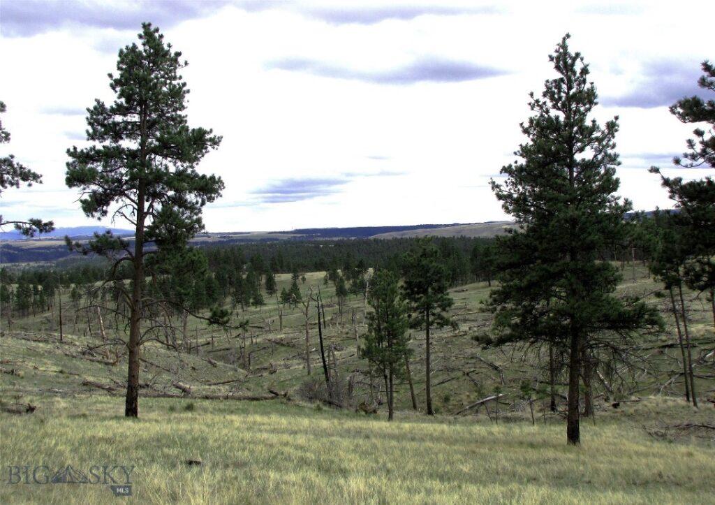 tbd Wild Turkey Ridge Road, Columbus MT 59019