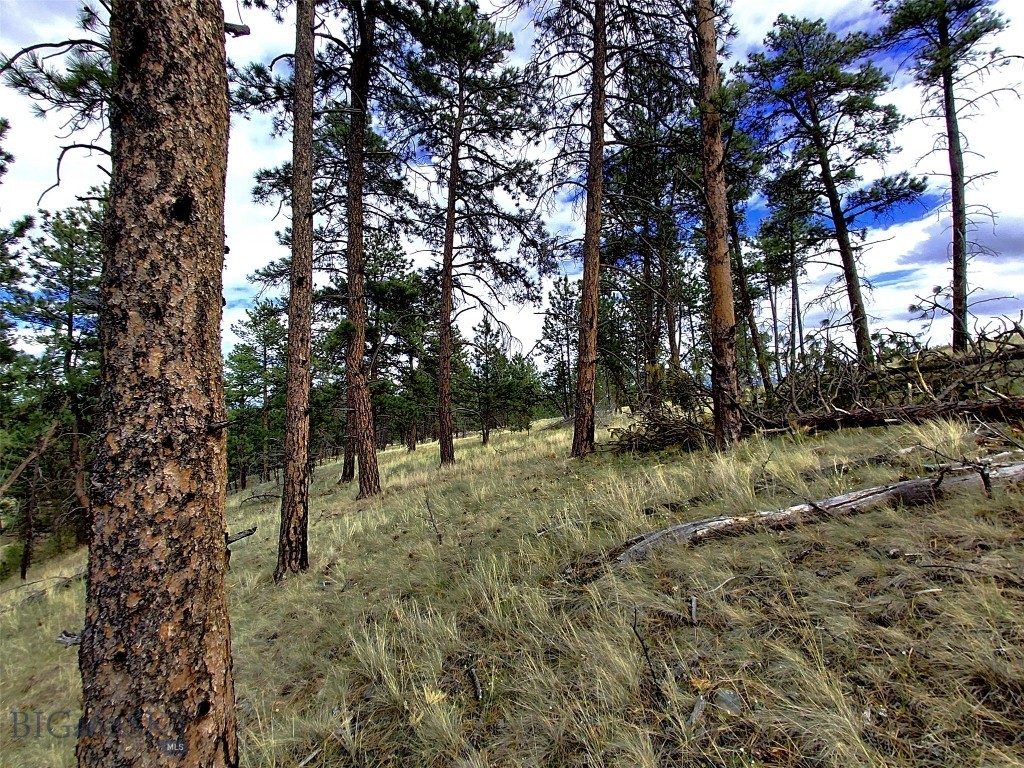 tbd Wild Turkey Ridge Road, Columbus MT 59019