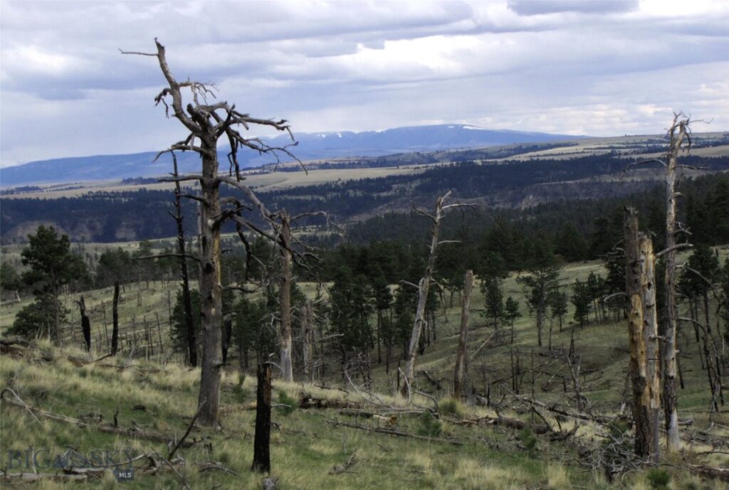 tbd Wild Turkey Ridge Road, Columbus MT 59019
