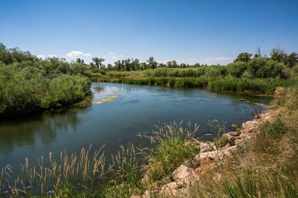 1872 Webster Lane, Dillon MT 59725